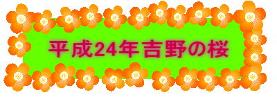 24Ng̍